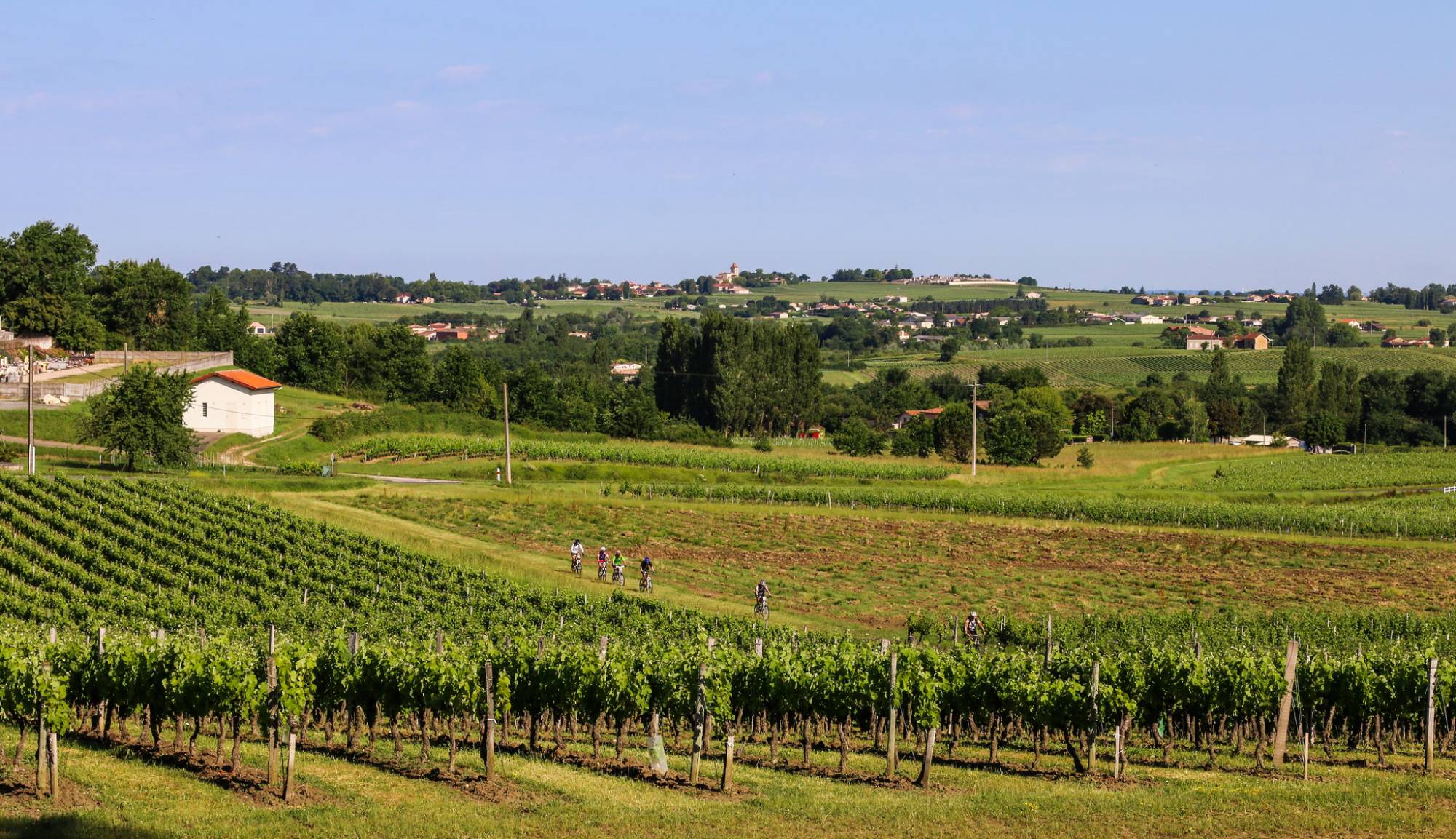 l'histoire du vignoble bordelais