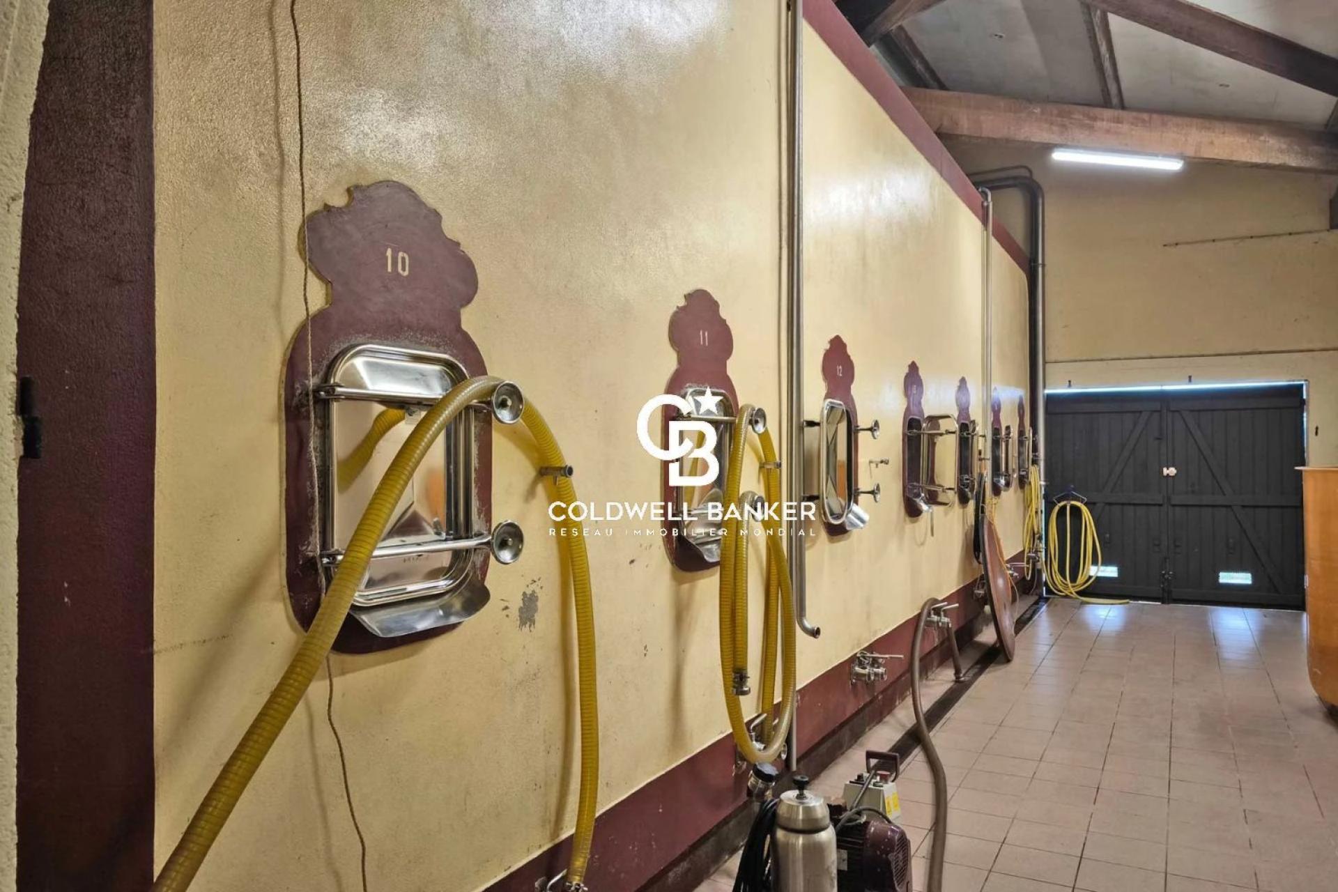 Vignoble d'exception de 25 hectares - Saint-Émilion Grand Cru