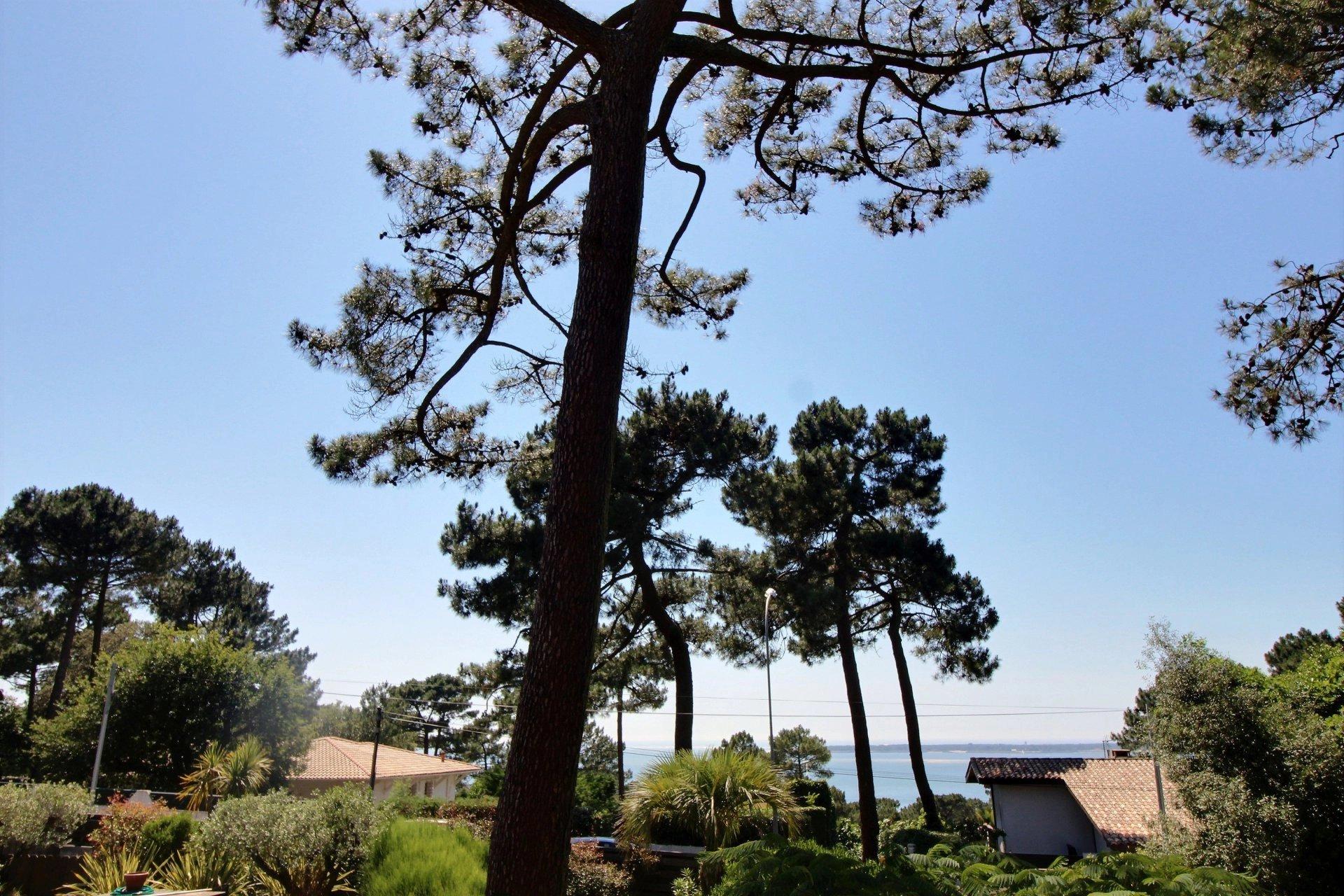 Villa pylataise avec vue imprenable sur le Bassin d'Arcachon