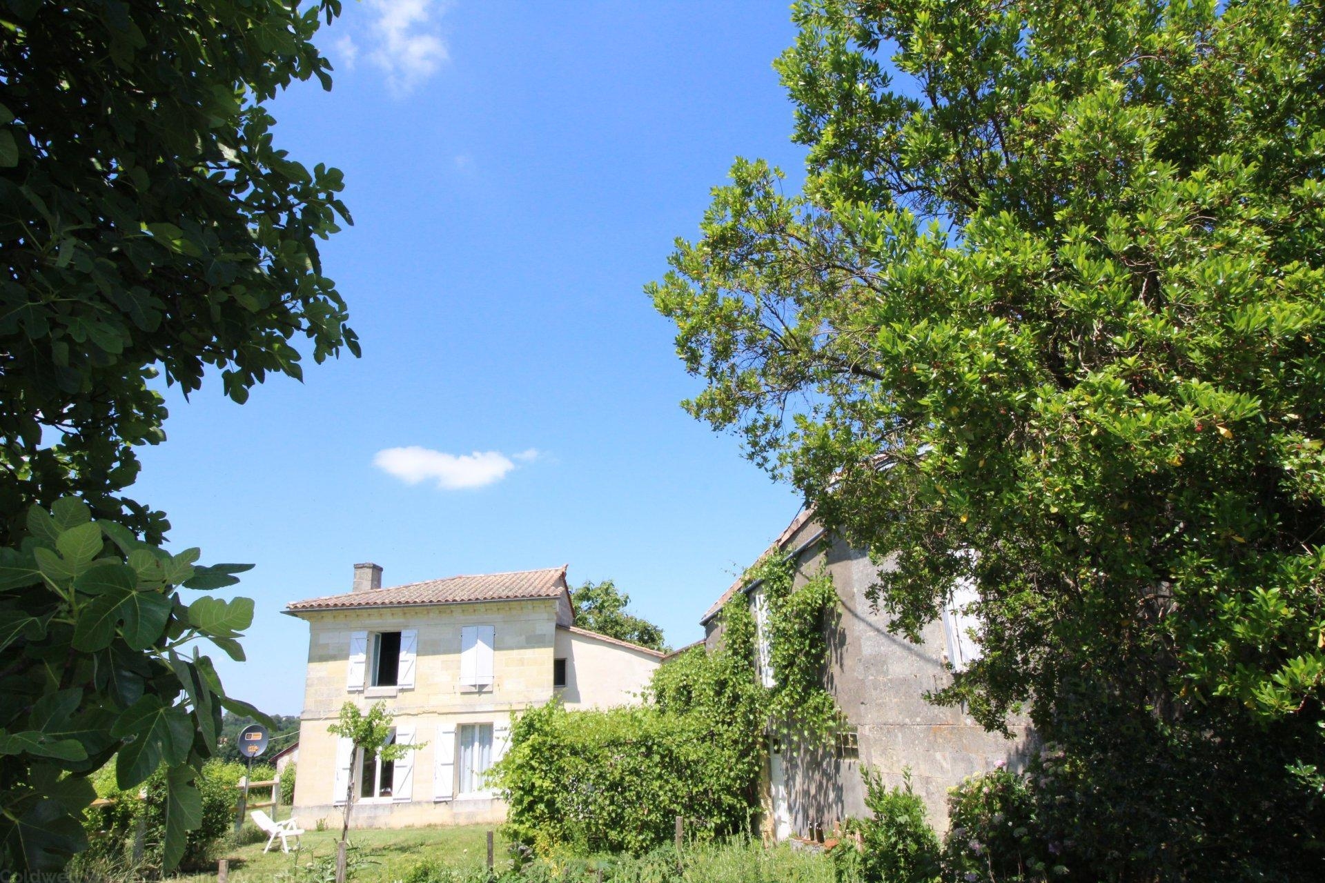 Vente propriété viticole composée de 2 maisons en blayais saint ciers de canesse