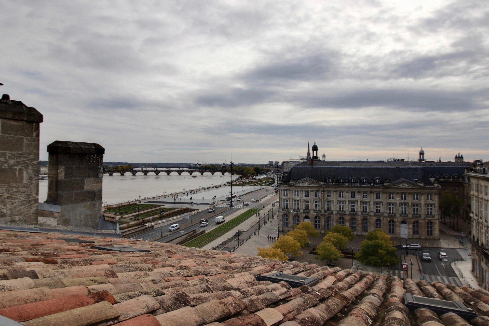 Appartement vue Garonne avec terrasse - Bordeaux