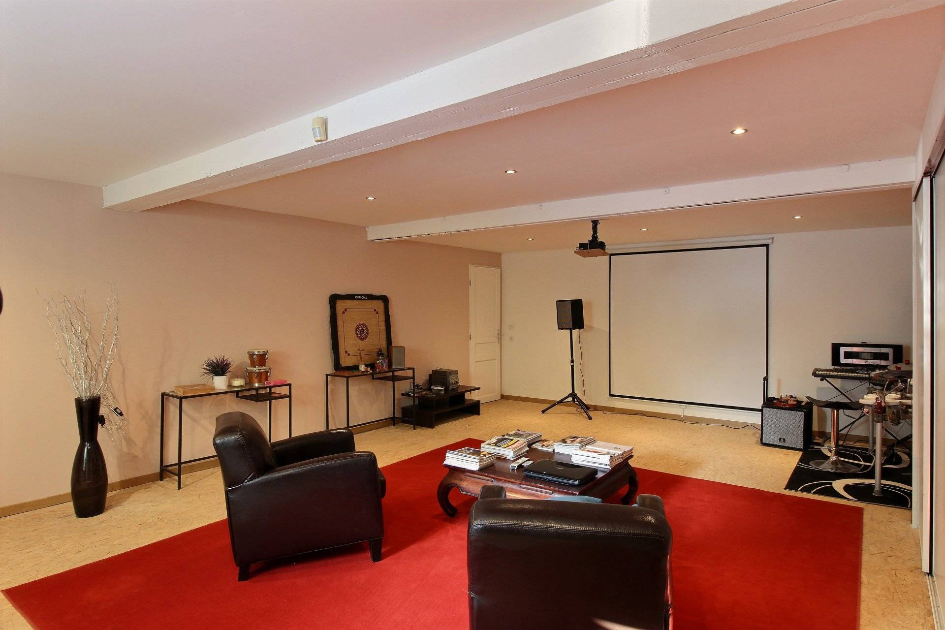 Achète maison avec salle de cinéma