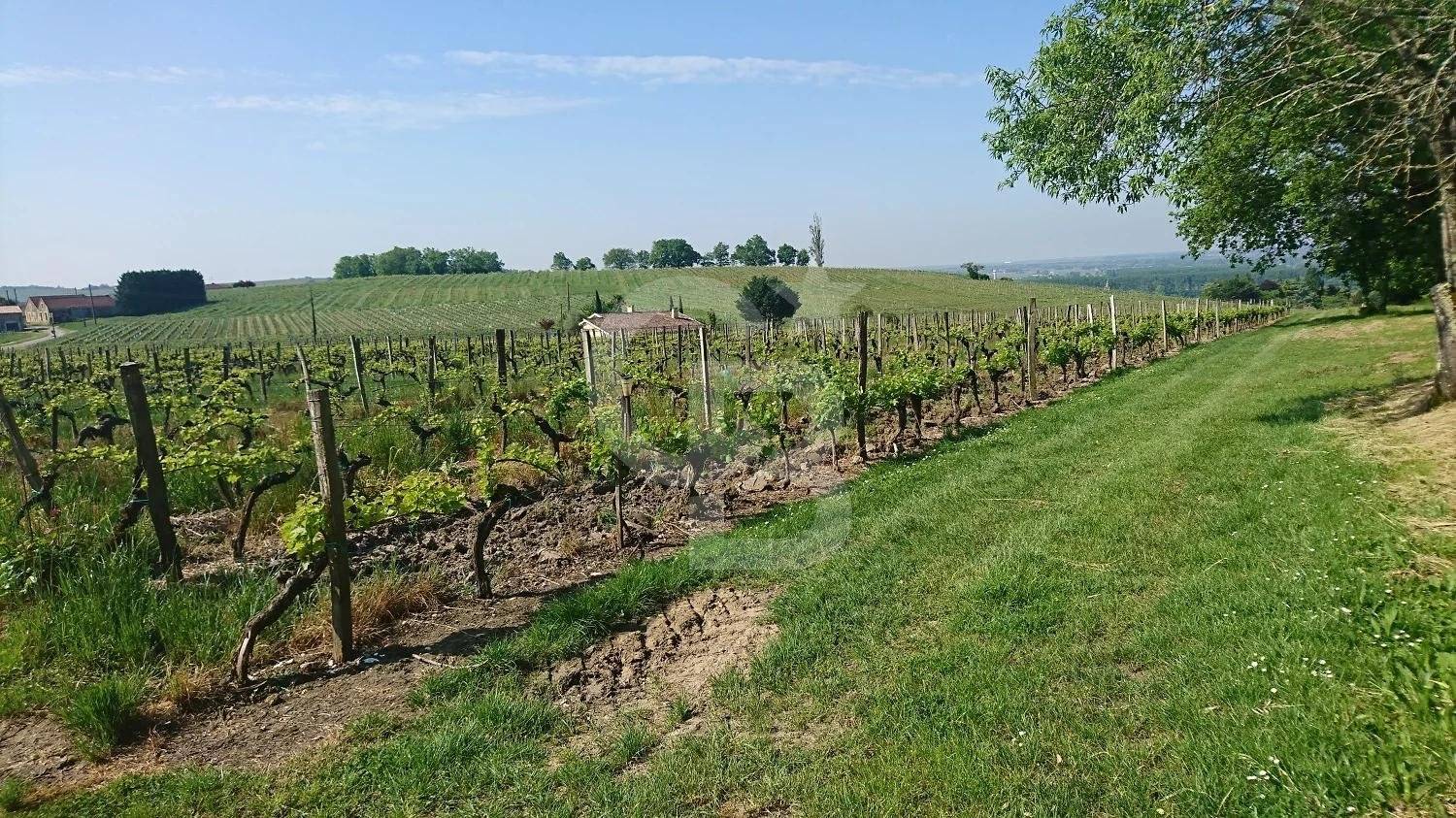se loger Magnifique château néo classique avec vignoble à LOUPIAC GIRONDE
