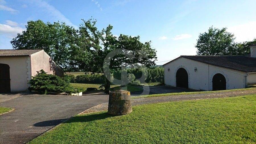 Propriété viticole de 13 hectares à vendre PROCHE LIBOURNE