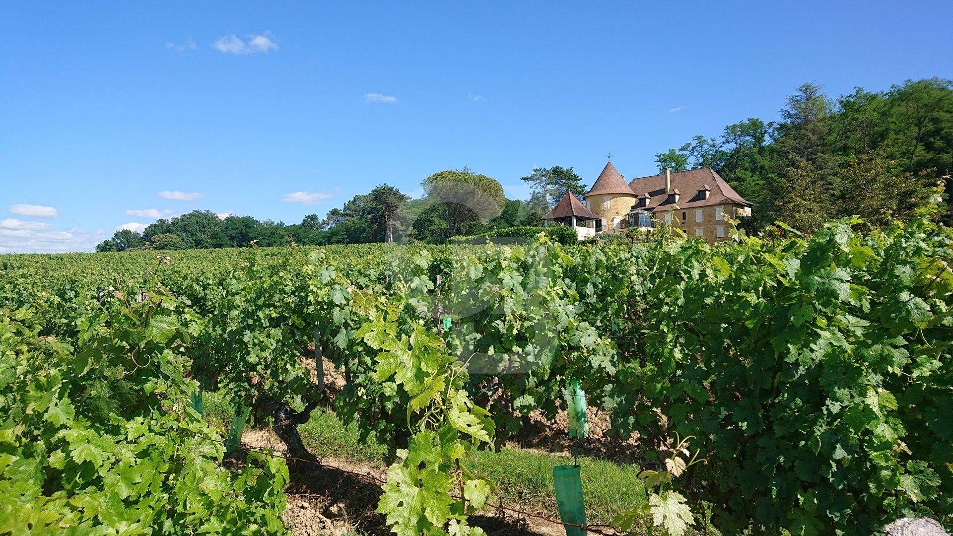 Vineyard Estate BERGERAC