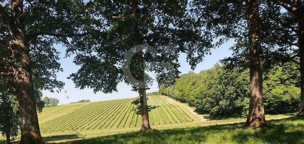 recherche propriété viticole près de bordeaux