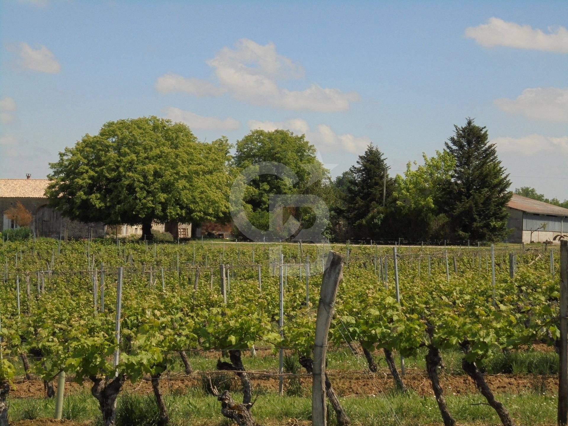 vente propriété viticole près de bordeaux