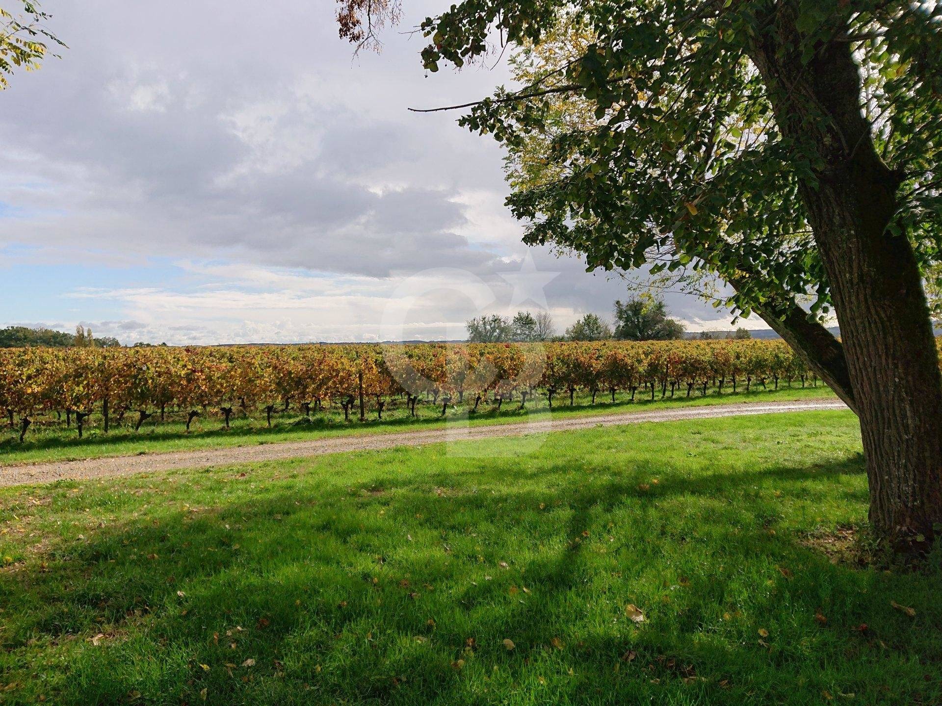 SALE Vineyard estate with Girondine house