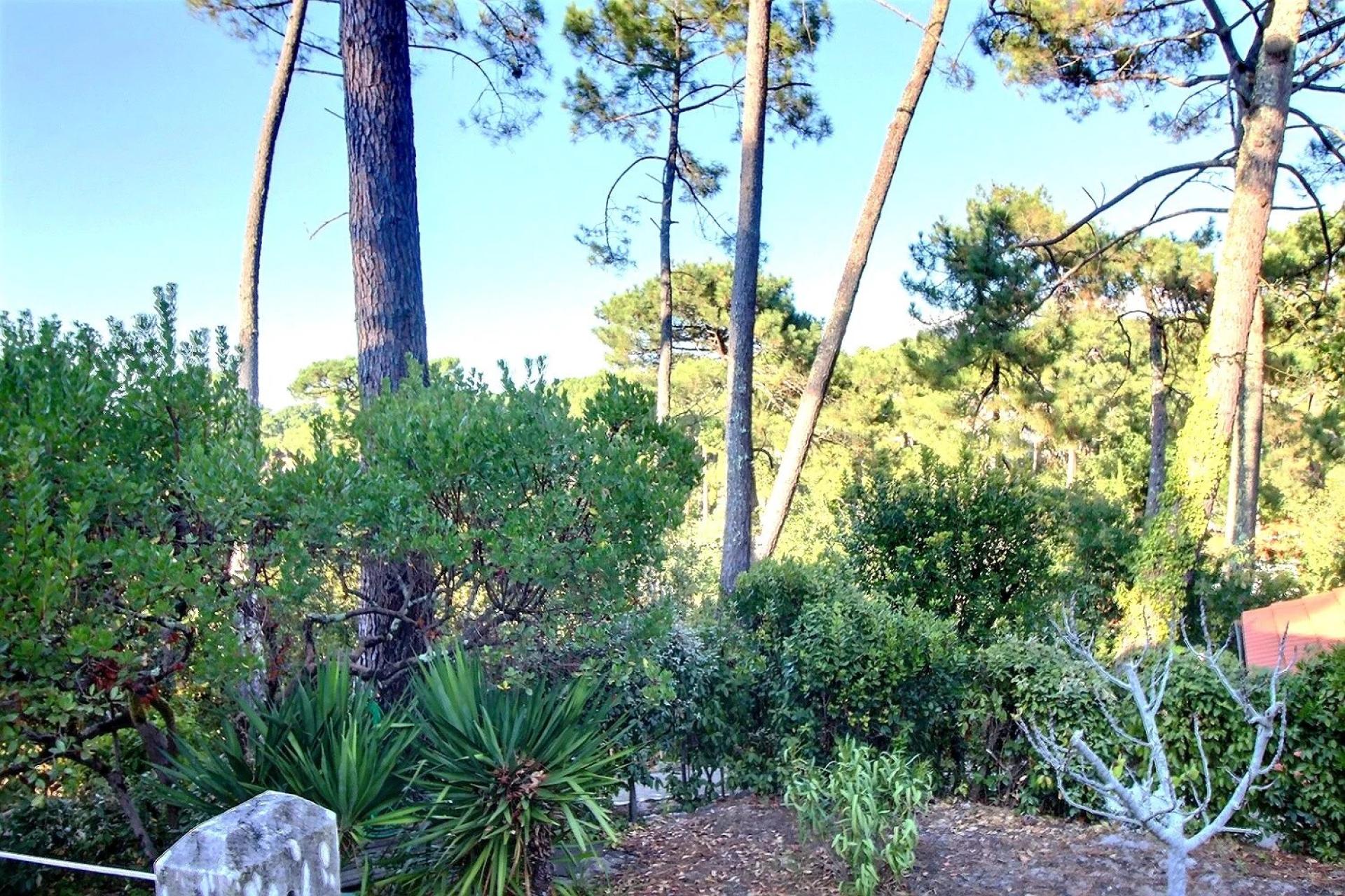 Villa moderne d'exception avec grand terrain et intimité unique Arcachon