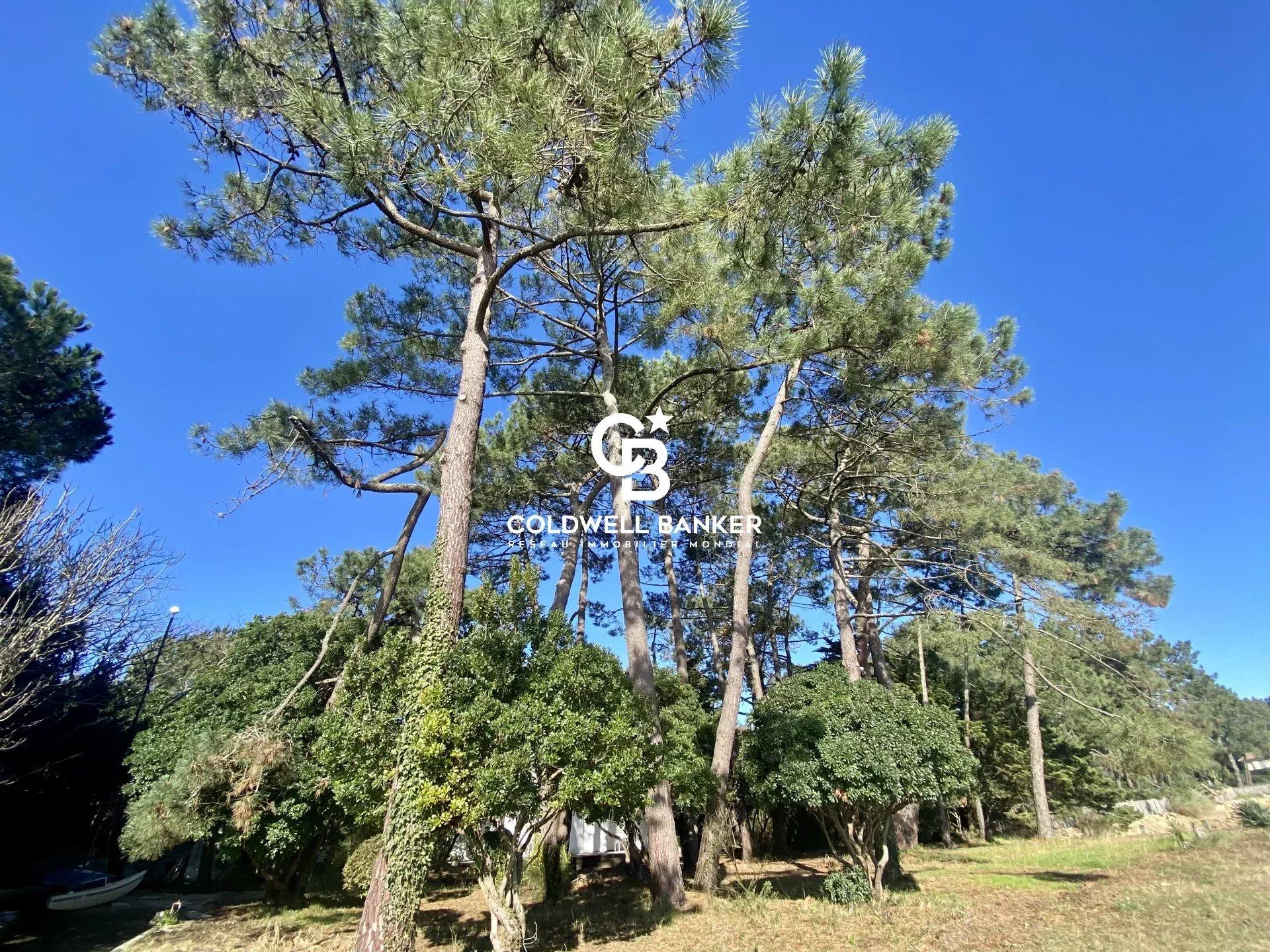 Propriété d'exception en première ligne au Cap Ferret