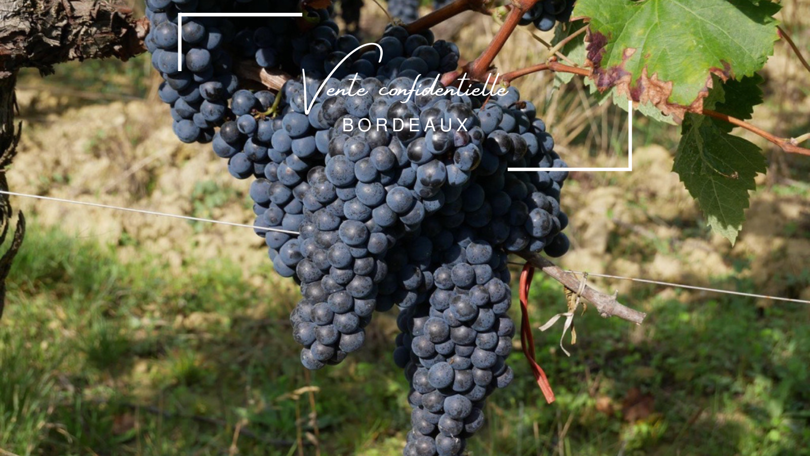 Magnifique château rénové avec vignoble à 1 heure de Bordeaux