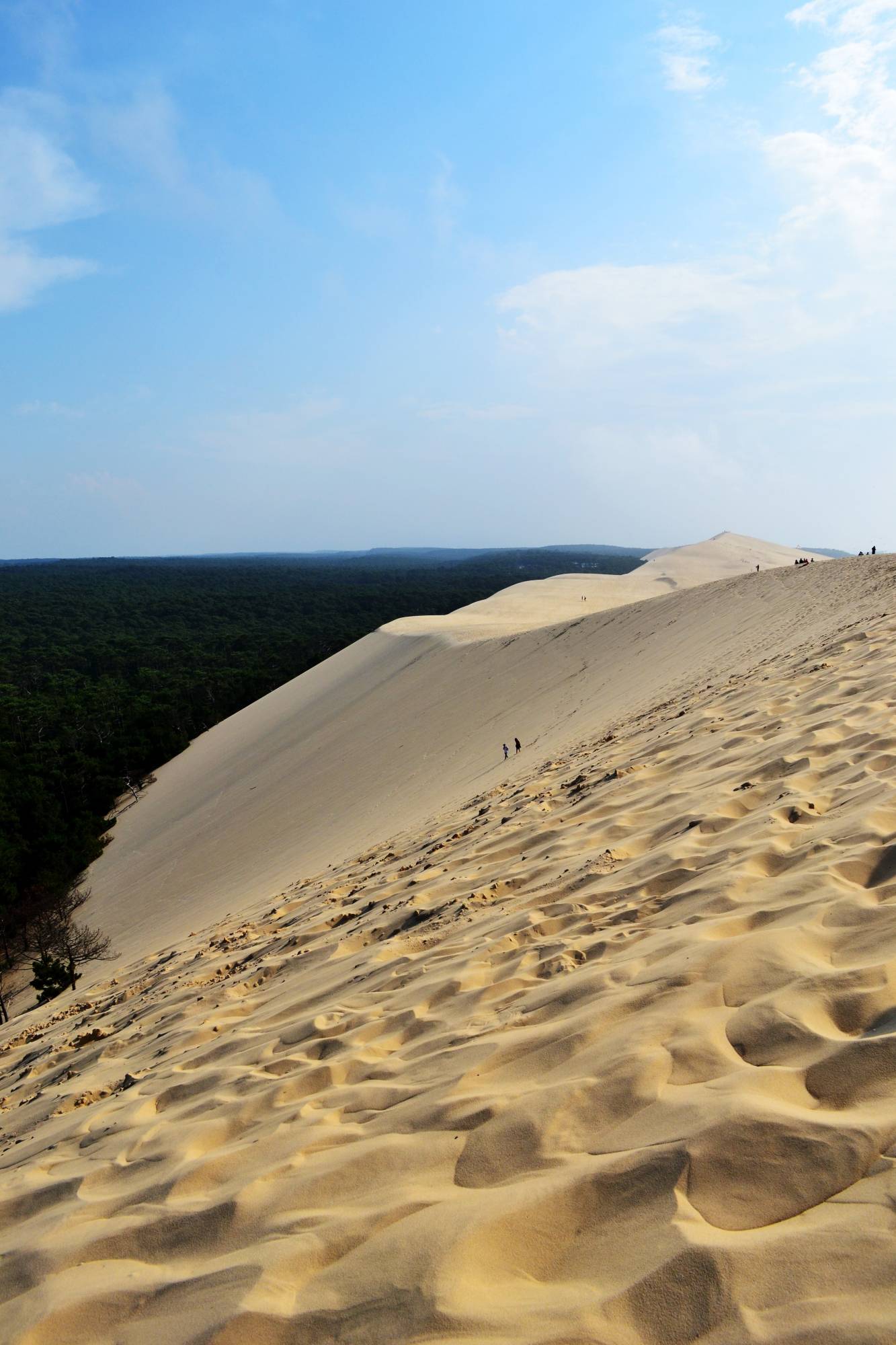 hauteur de la dune du pyla