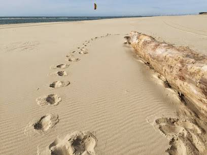 Char à voile dune du pilat