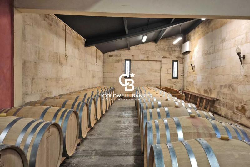 Vignoble d'exception de 25 hectares - Saint-Émilion Grand Cru