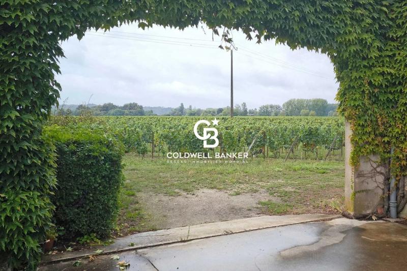 Vignoble d'exception de 25 hectares - Saint-Émilion Grand Cru