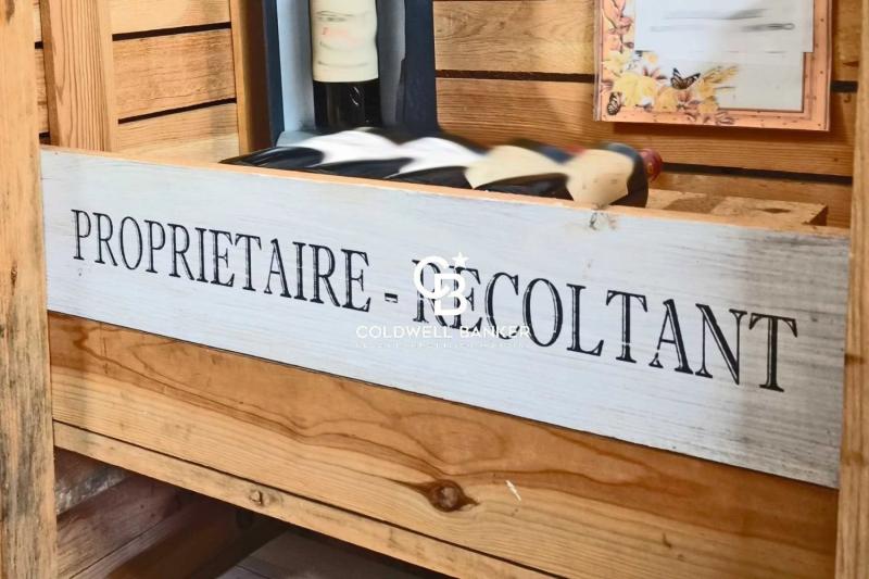 Vignoble d'exception de 25 hectares - Saint-Émilion Grand Cru