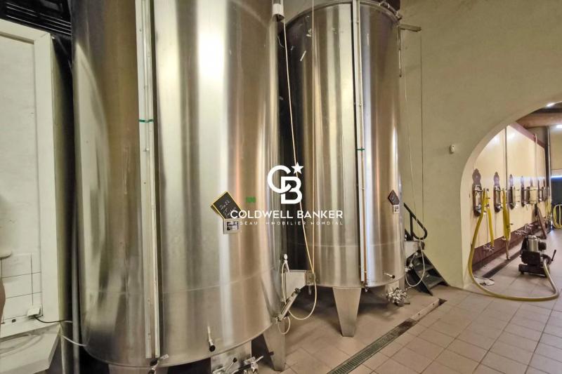 Vignoble d'exception de 25 hectares - Saint-Émilion Grand Cru