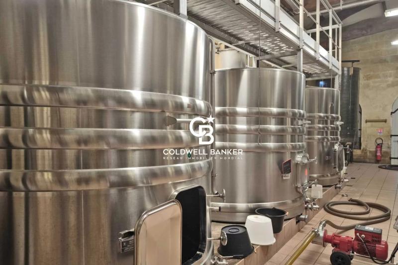 Vignoble d'exception de 25 hectares - Saint-Émilion Grand Cru