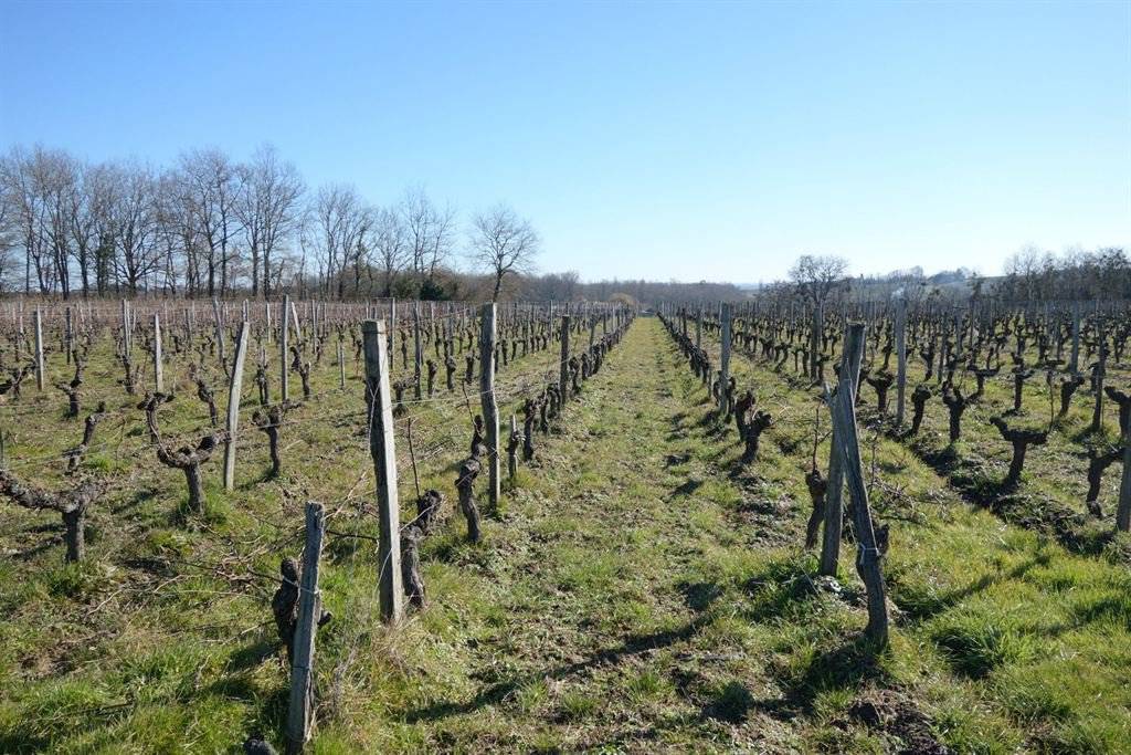 Domaine viticole à vendre PROCHE BORDEAUX