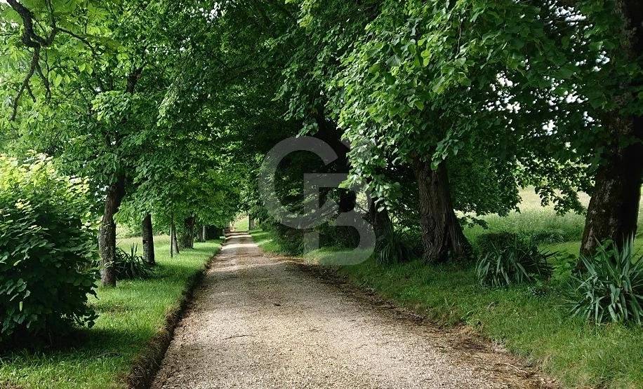vente Magnifique château néo classique avec vignoble à LOUPIAC GIRONDE