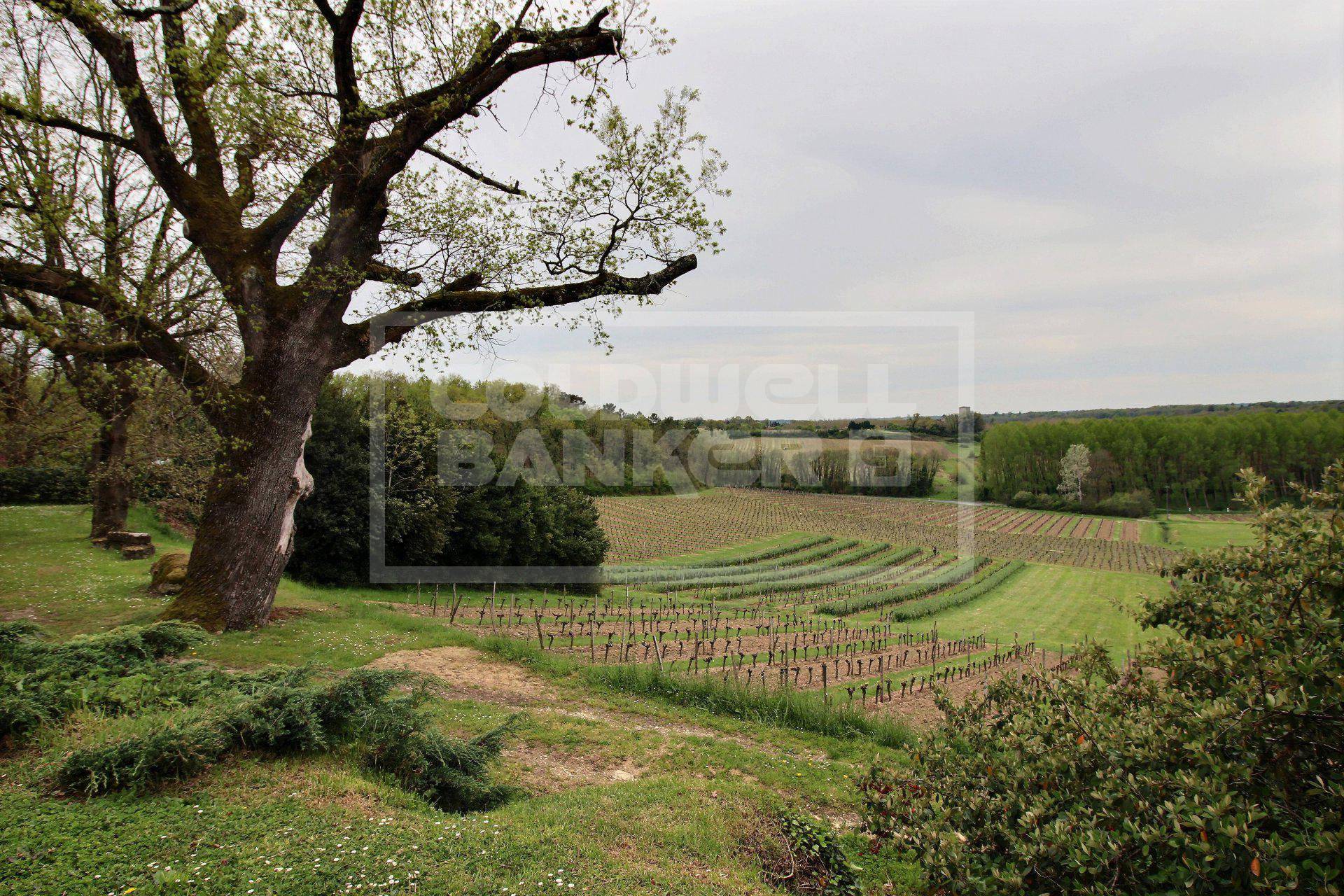 Propriété viticole de 13 hectares à vendre PROCHE LIBOURNE