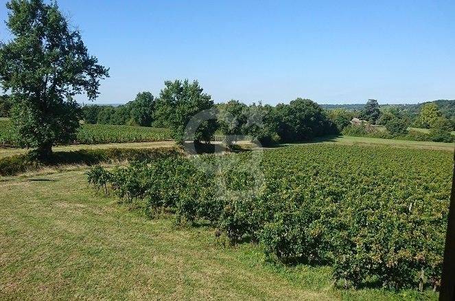 Propriété viticole pleine production - Bergerac
