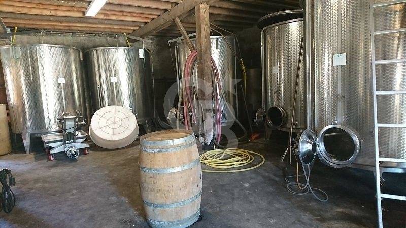 vente propriété viticole bergerac