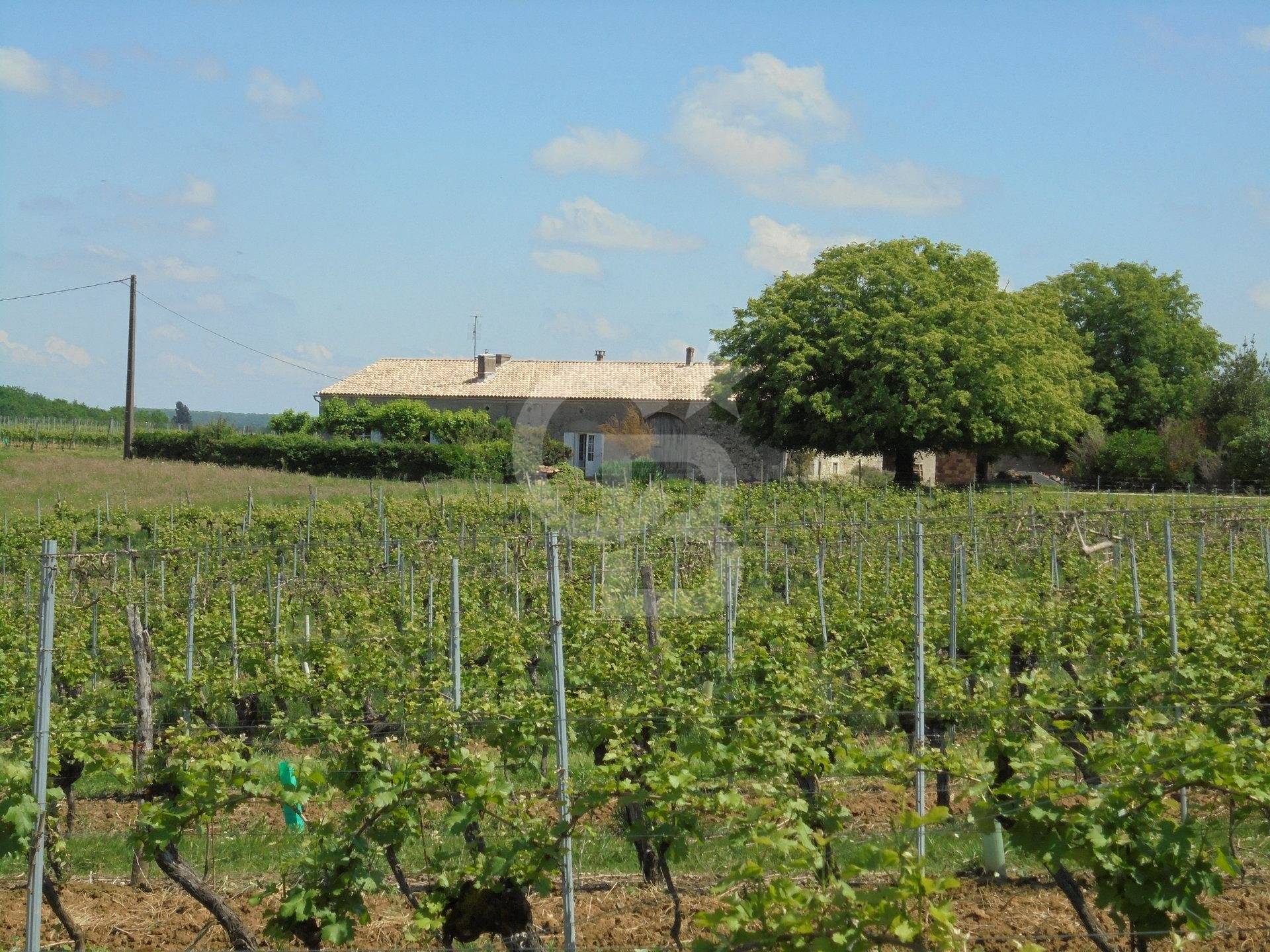 Propriété avec dépendances, maison et vignes - Duras