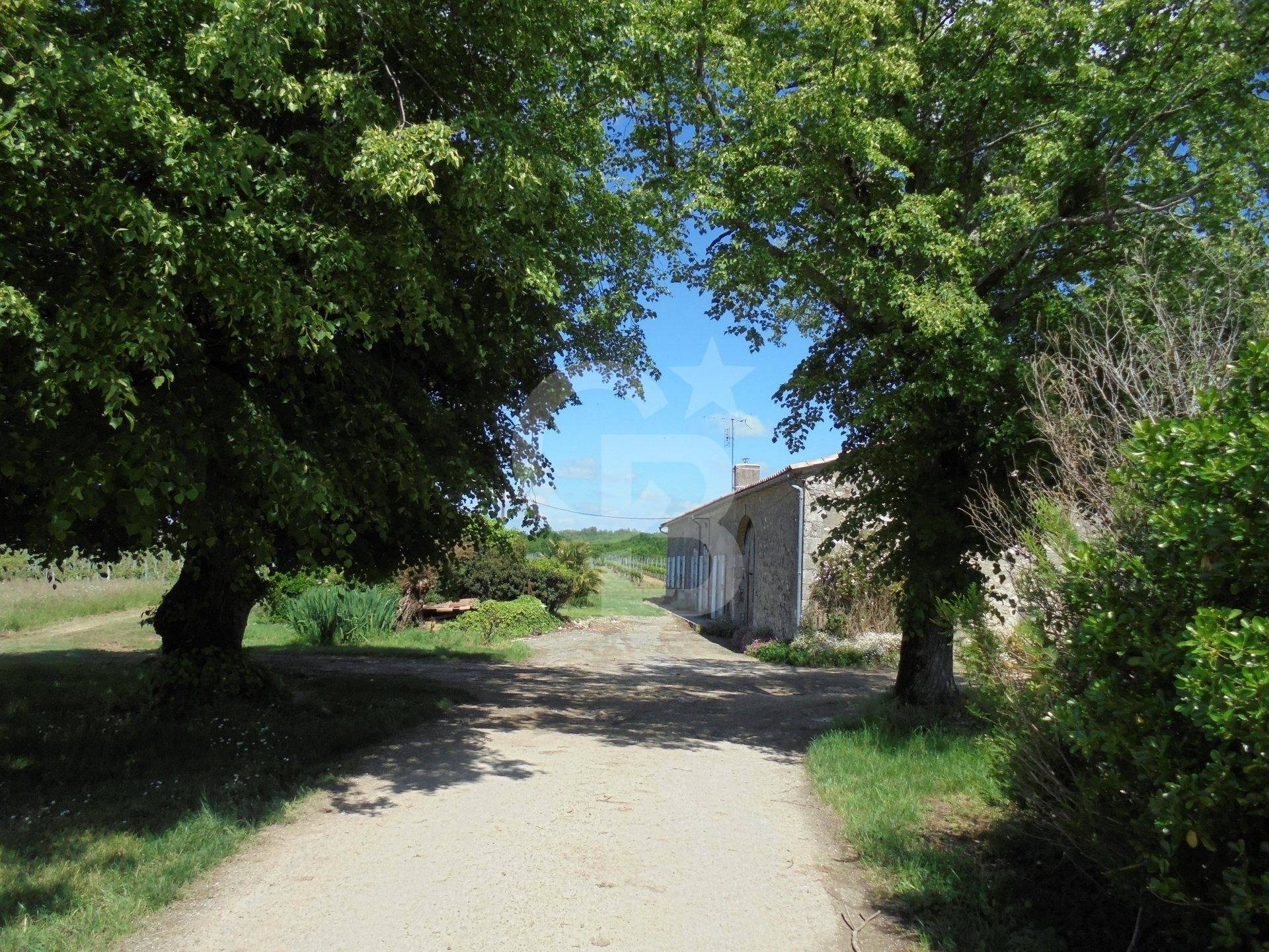 propriété viticole à vendre