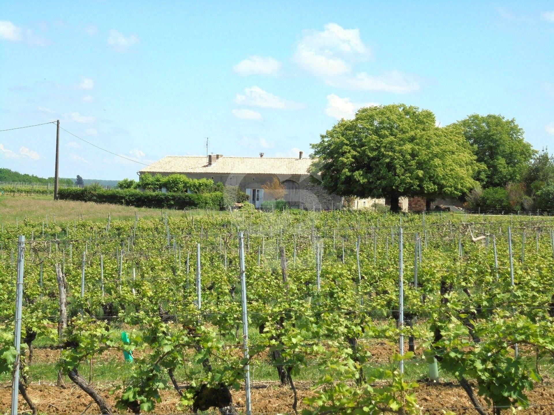 Propriété avec dépendances, maison et vignes - Duras
