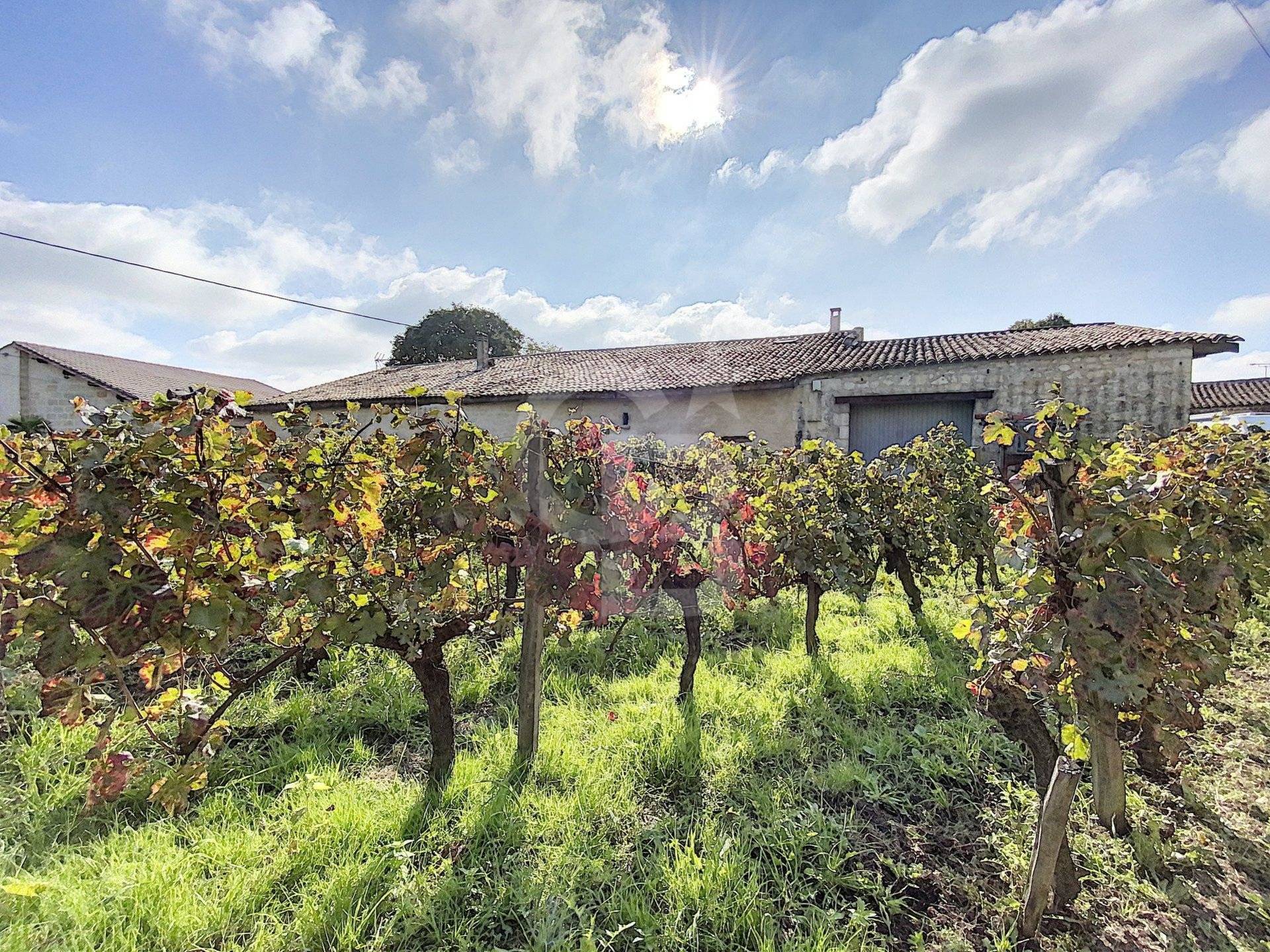 Propriété avec chai, vignes, et logements locatifs à vendre SAINT ÉMILION
