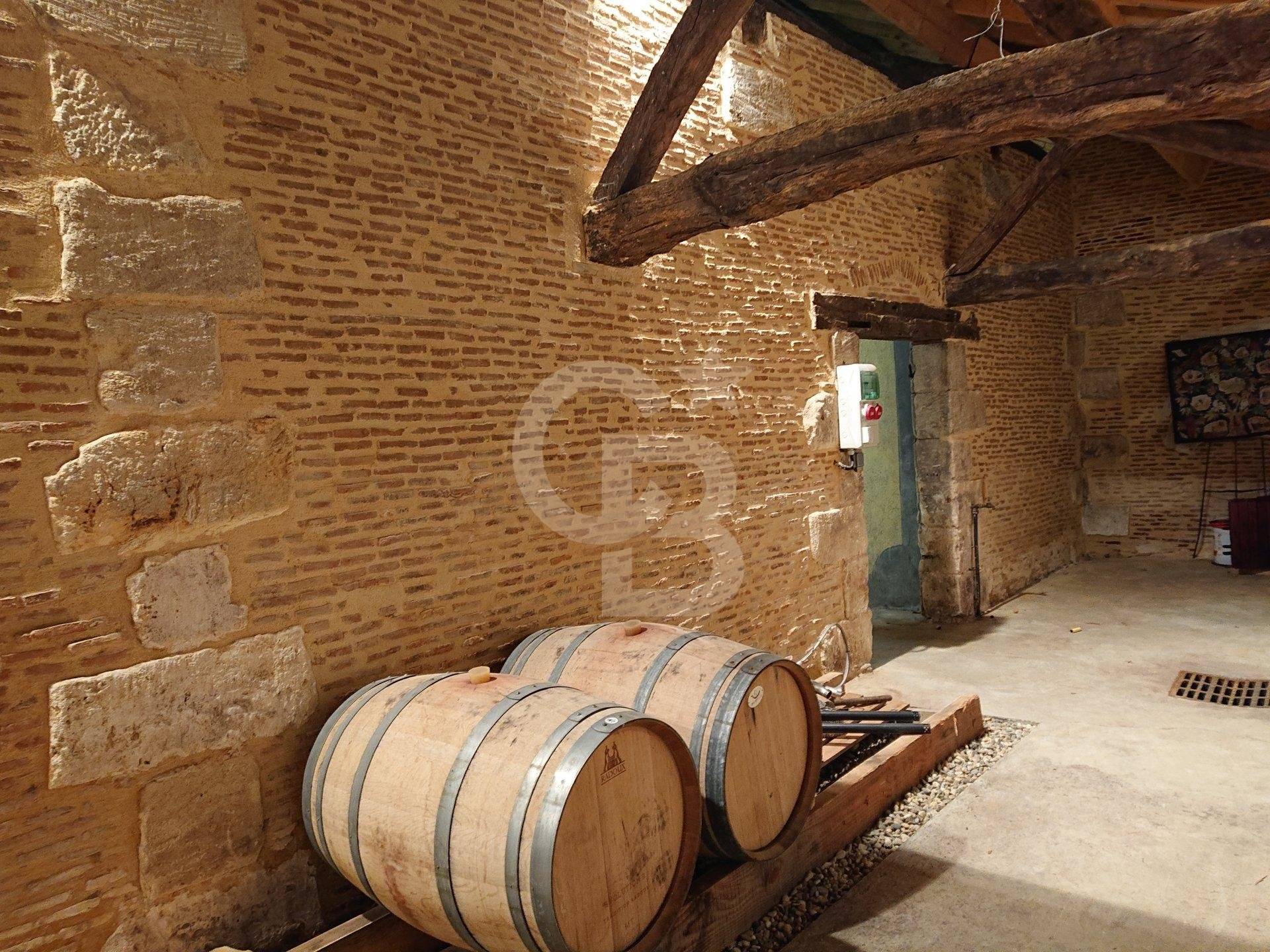 Achat Propriété viticole avec belle girondine BERGERAC