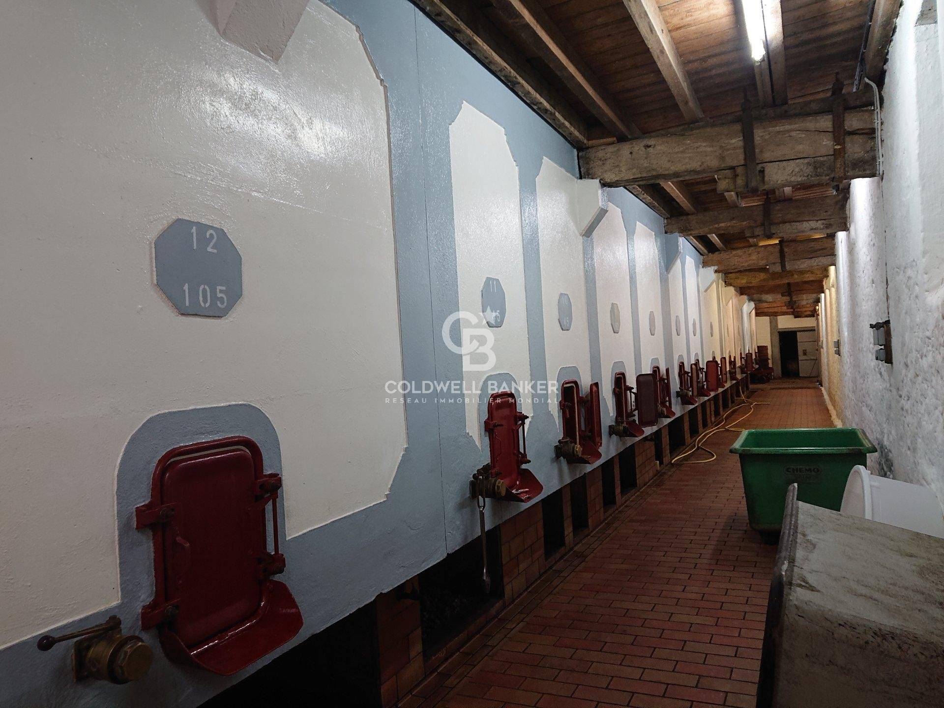 Sublime château du XVIIe siècle à 45 minutes de Bordeaux - Gironde