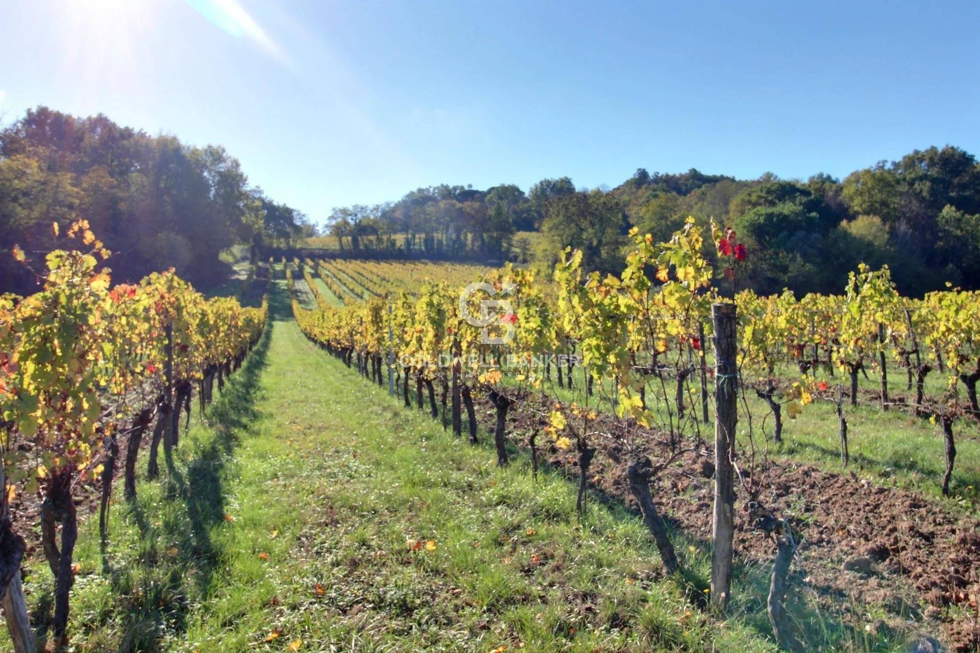 Sublime château du XVIIe siècle à 45 minutes de Bordeaux - Gironde
