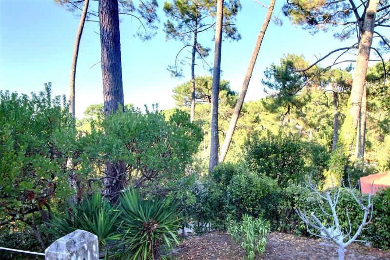 Villa moderne d'exception avec grand terrain et intimité unique Arcachon