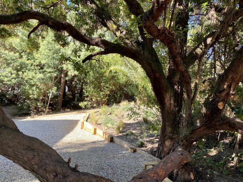 Magnifique villa au coeur de la nature à deux pas de l'océan Cap-Ferret