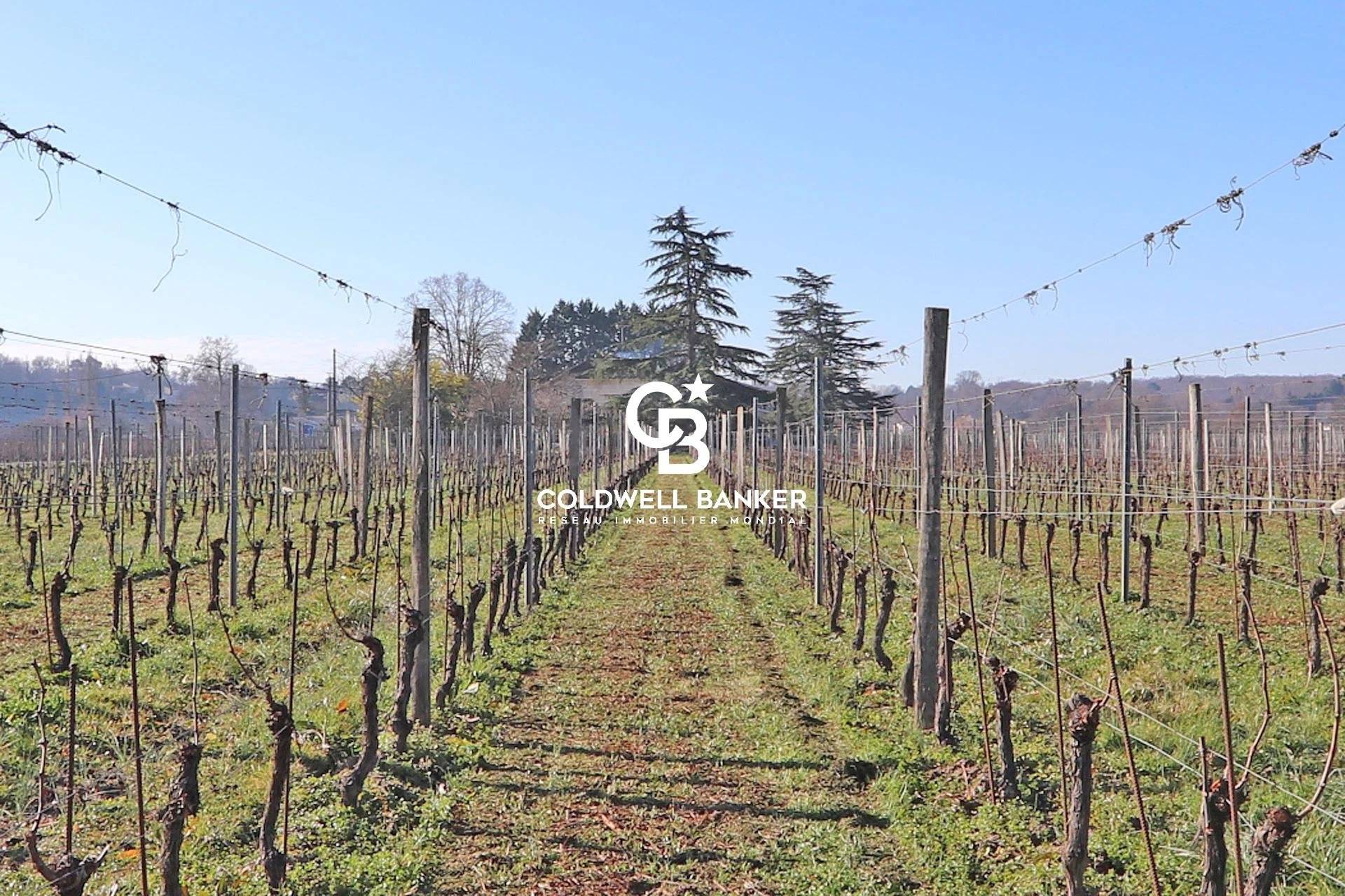 Propriété viticole Bio AOC Bordeaux - Proche Libourne