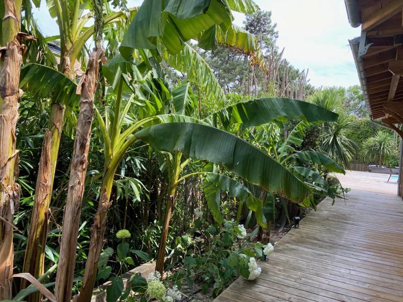 Magnifique villa en bois au Cap Ferret