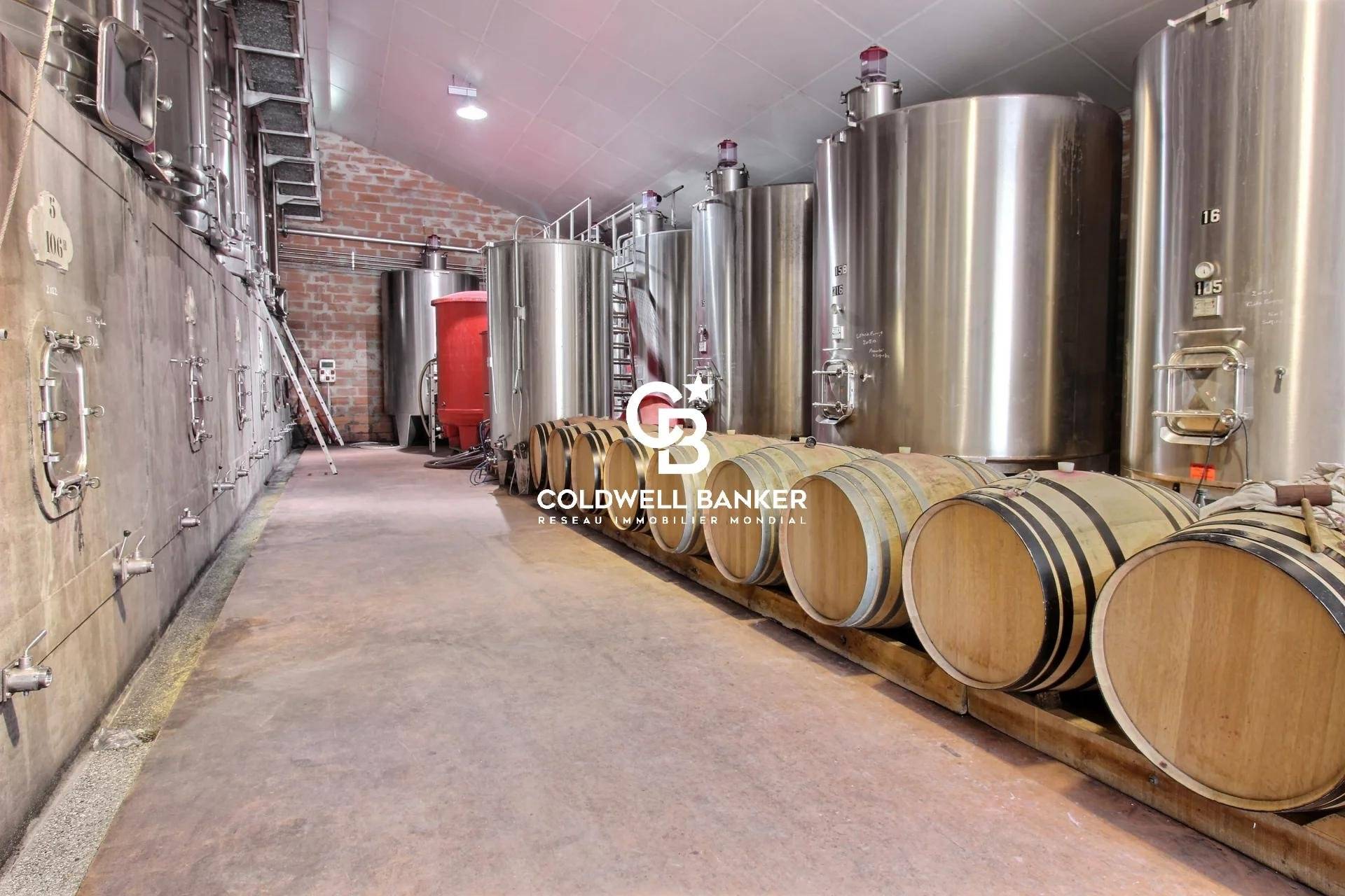 Propriété viticole de renom - Pugnac