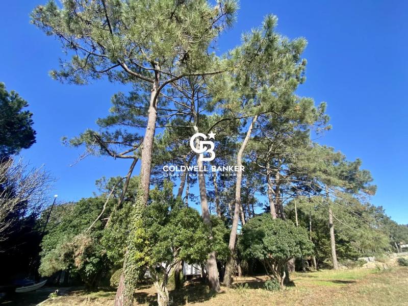 Propriété d'exception en première ligne au Cap Ferret