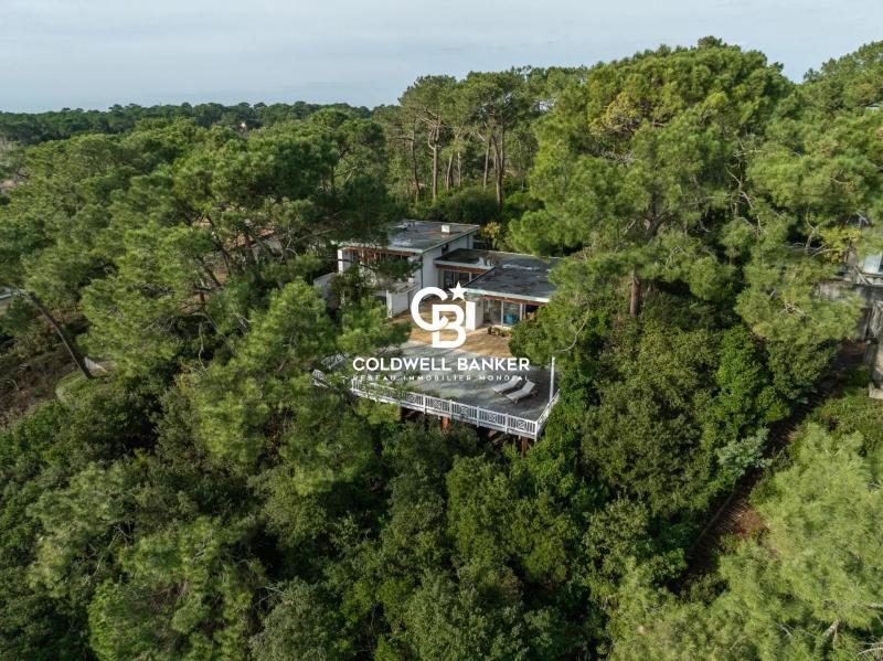 Propriété d’exception au Cap Ferret, face au Bassin, entre luxe et nature