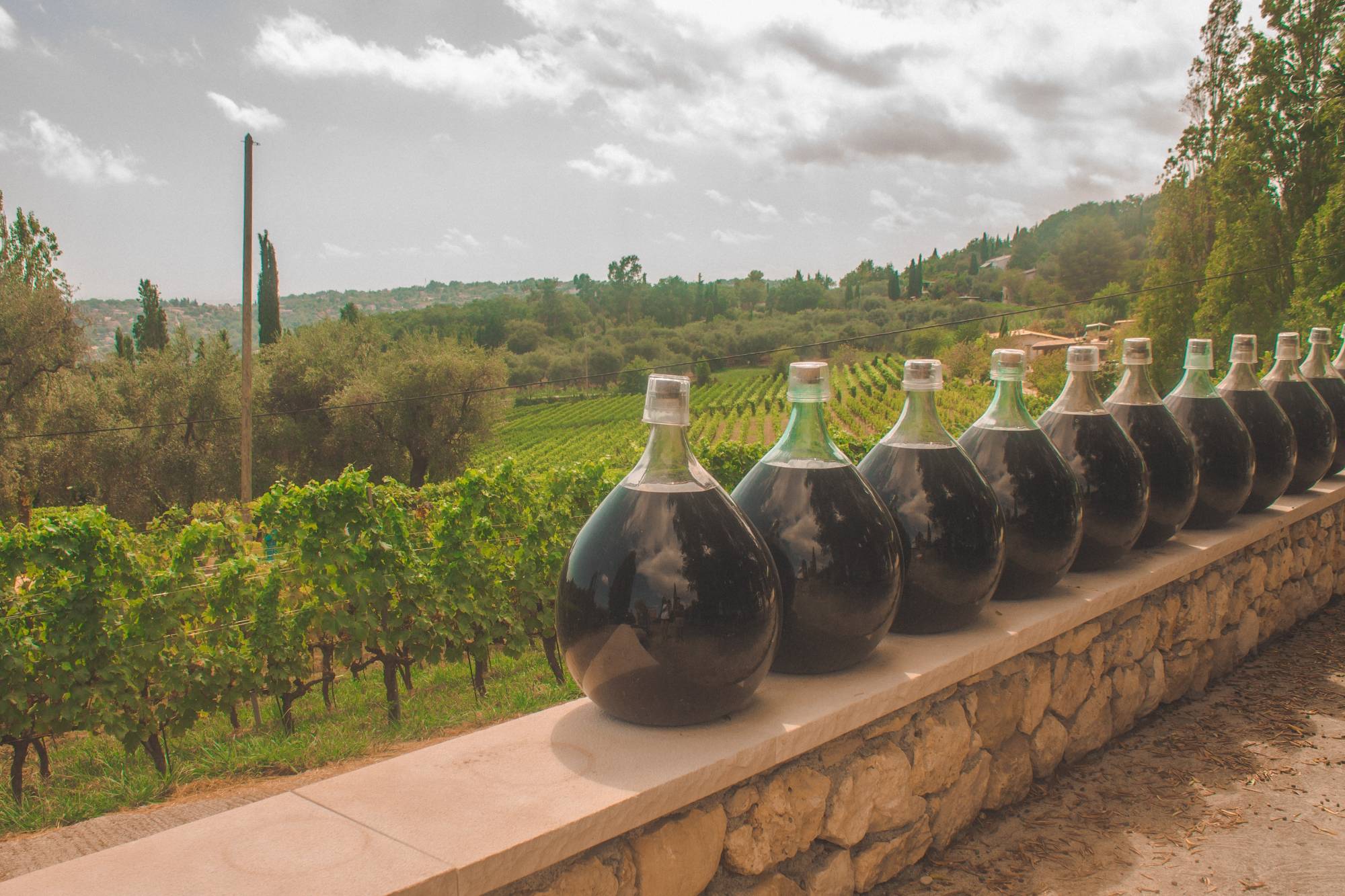 Vente de châteaux et vignobles bordelais