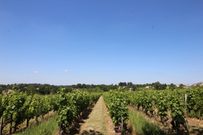 Nos prestations sur le secteur de proche Bordeaux en Gironde